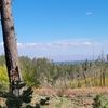 valgoldtooth